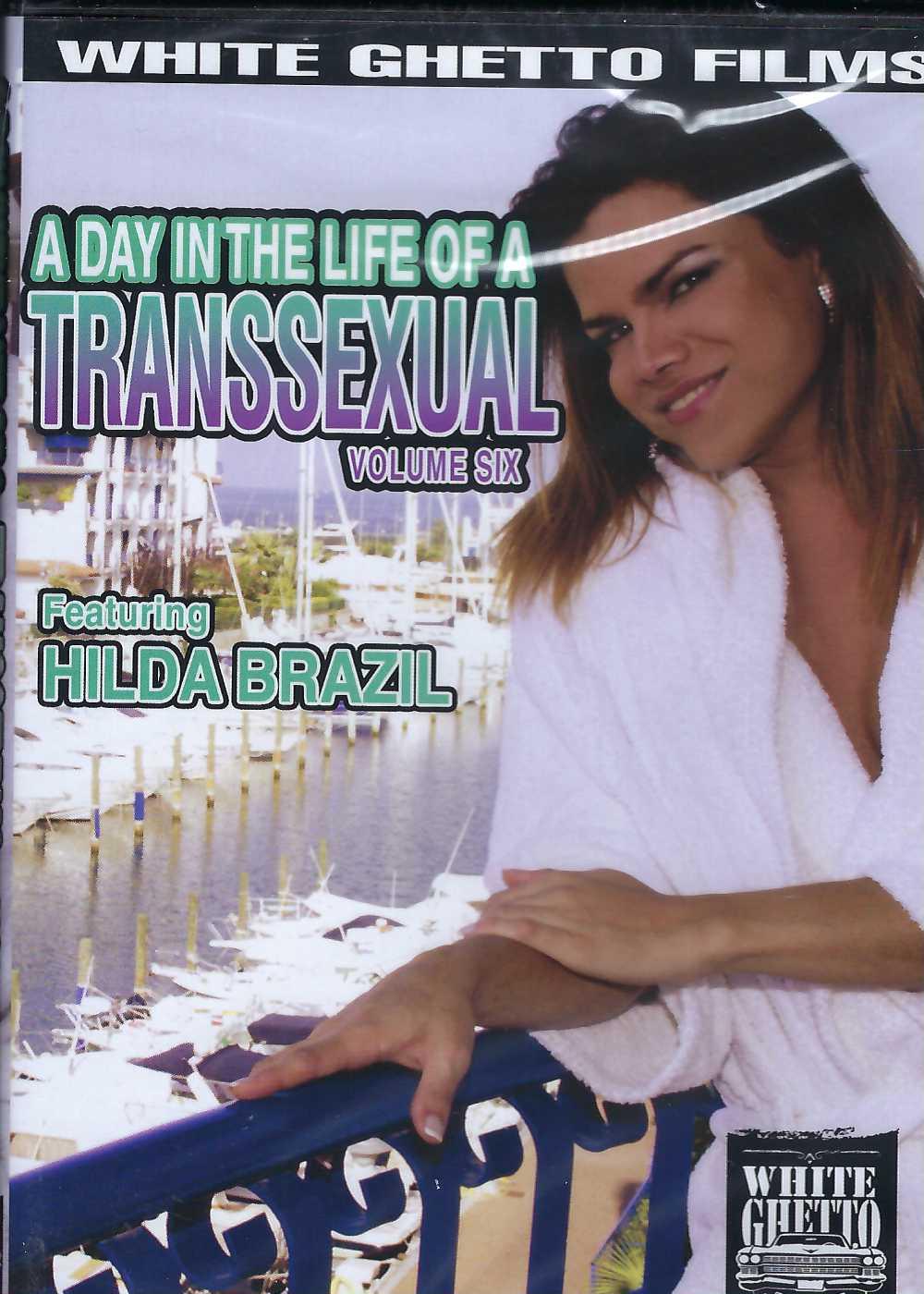 (image for) Day In The Life of a Transsexual 6
